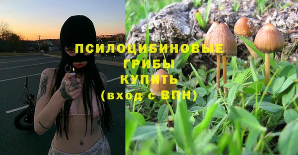 бошки Осинники